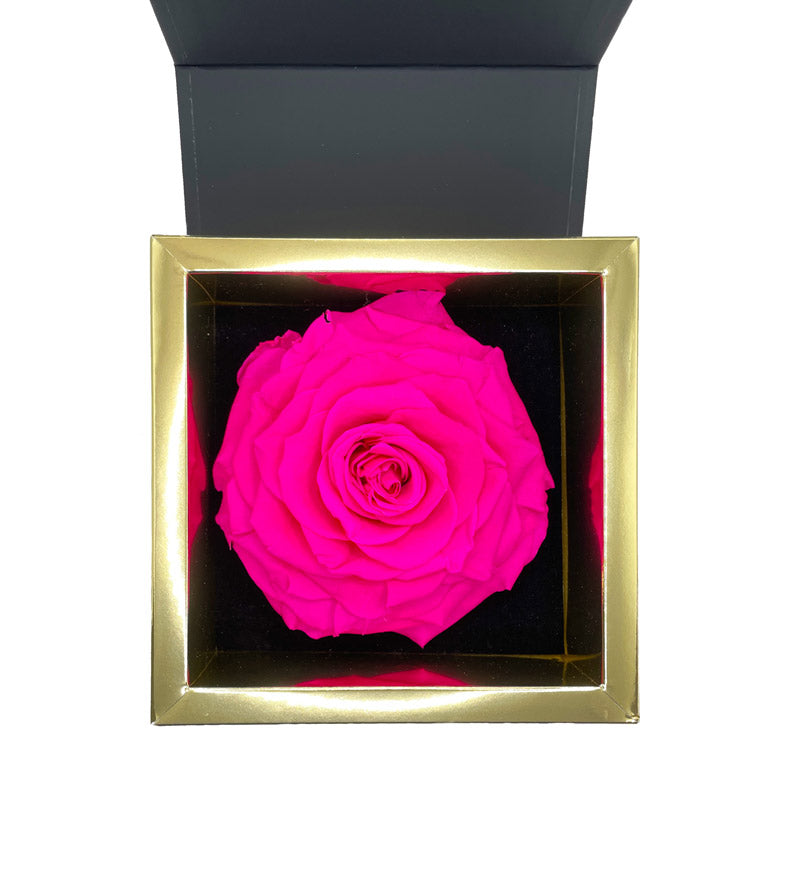 ESTELLA – XL Eternal Rose in Delicate Gift Box