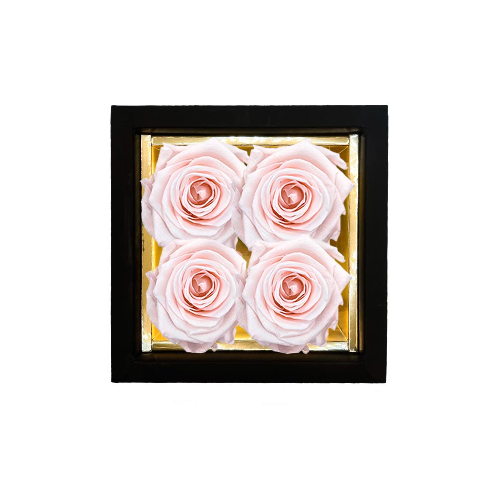 CYGNUS – 4 Eternal Roses in Box - Solid