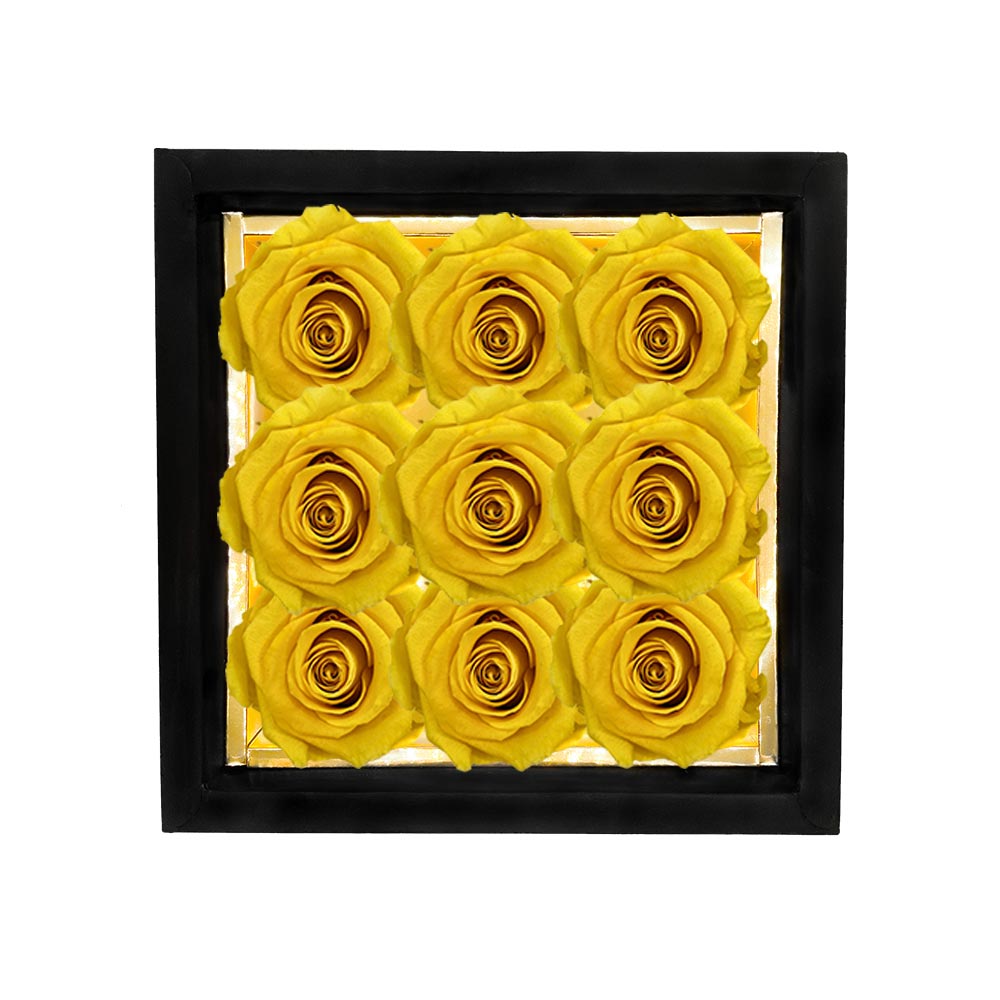 CYGNUS plus – 9 Eternal Roses in Box - Solid