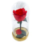 BEAUTY – Rose éternelle dans un dôme de cristal