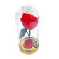 BEAUTY – Eternal Rose in Crystal Dome