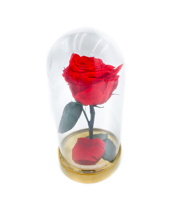 BEAUTY – Eternal Rose in Crystal Dome – Aluna Bouquets