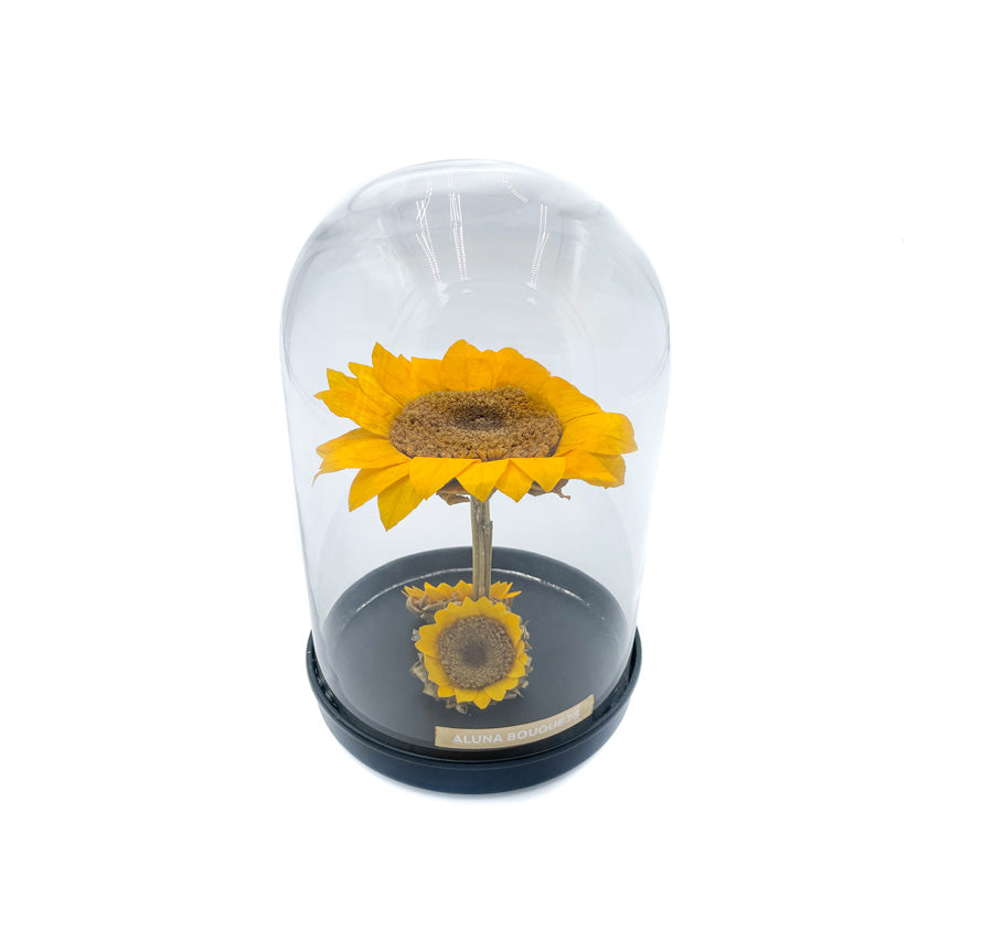 DULCE – Eternal Sunflowers in Crystal Dome