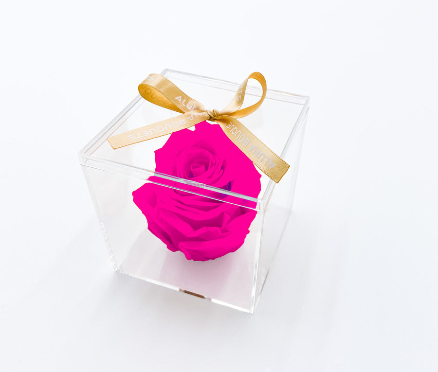 FAIRY - Single Eternal Rose Head in Clear Box