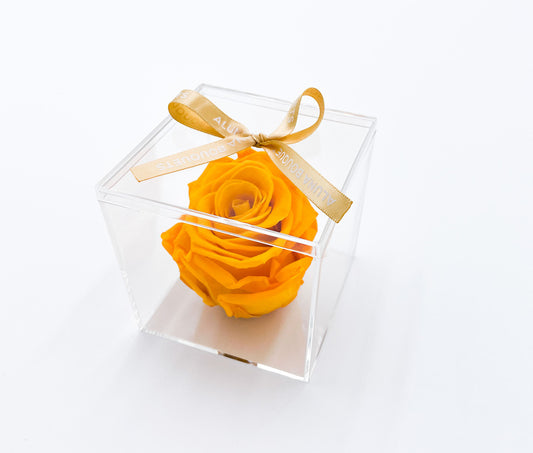 FAIRY - Tête de rose éternelle unique dans une boîte transparente