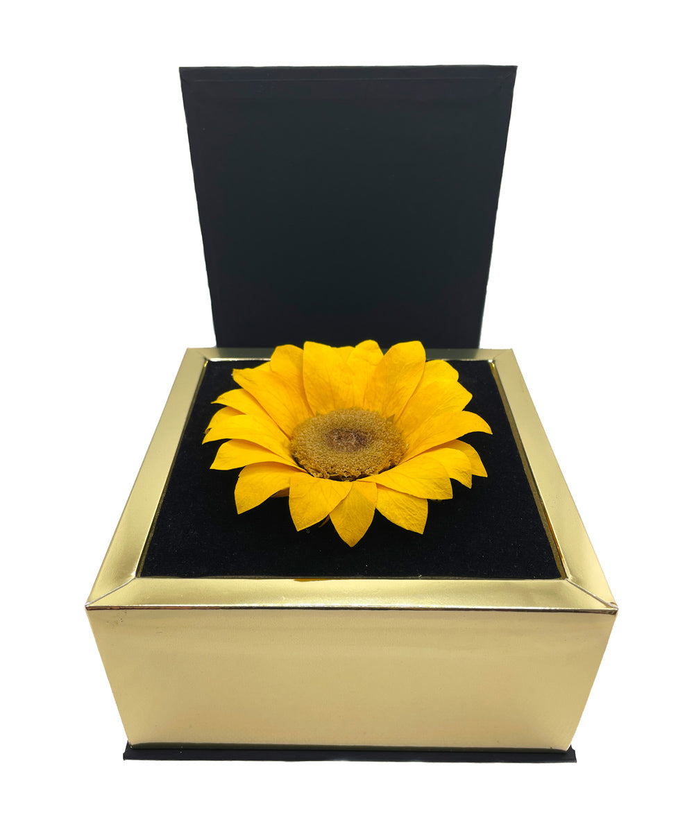 SOLARIS – XL Eternal Sunflower in Delicate Gift Box