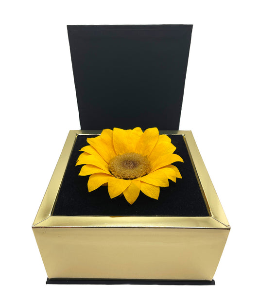 SOLARIS – XL Eternal Sunflower in Delicate Gift Box