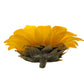 An eternal yellow sunflower side view