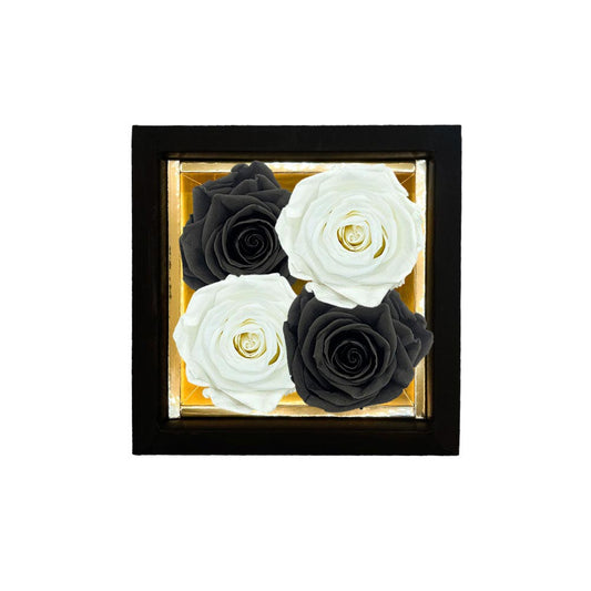 LYRA – 4 Roses éternelles en boîte - Damier