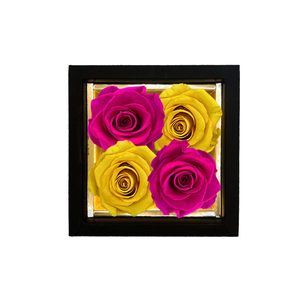 LYRA – 4 Eternal Roses in Box - Checkerboard