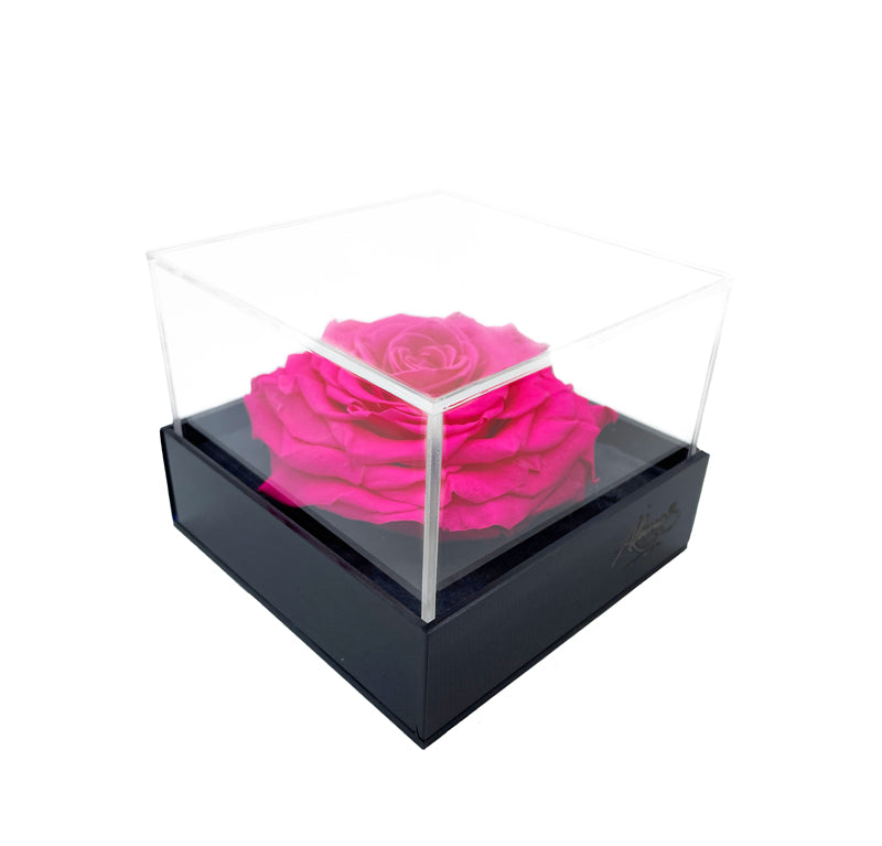 MAIA – XL Eternal Rose in Deluxe Acrylic Box