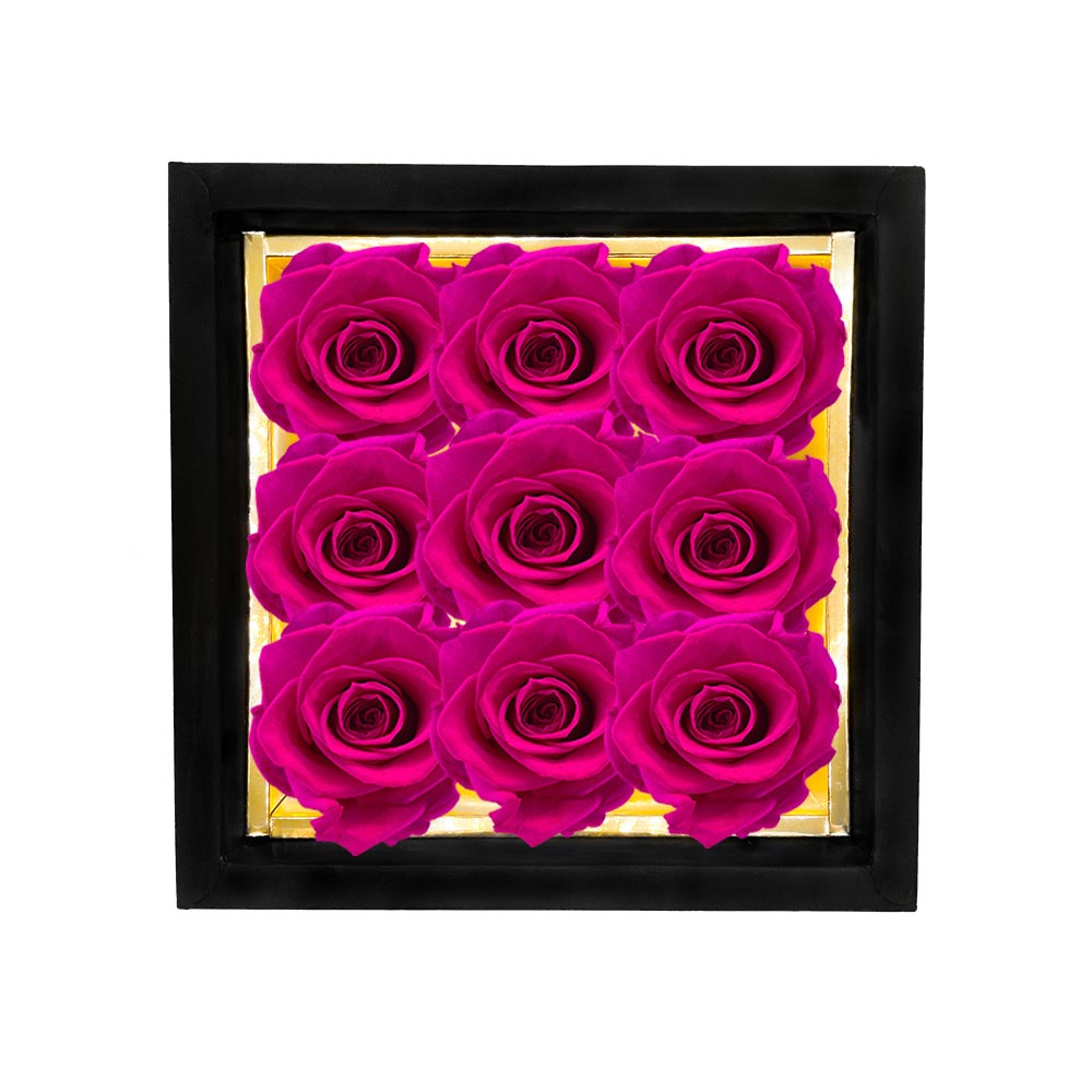 CYGNUS plus – 9 Eternal Roses in Box - Solid