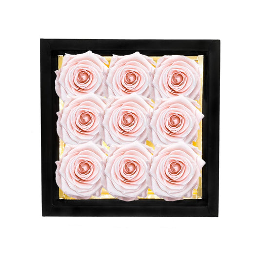 CYGNUS plus – 9 Roses éternelles en boîte – Solide