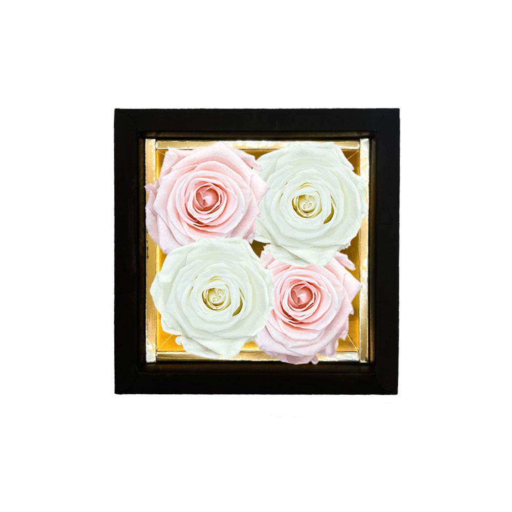 LYRA – 4 Eternal Roses in Box - Checkerboard