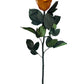 DAYDREAM – Single Eternal Rose with stem