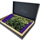 PRAGMA – Eternal Roses with stem in Luxurious Gift Box