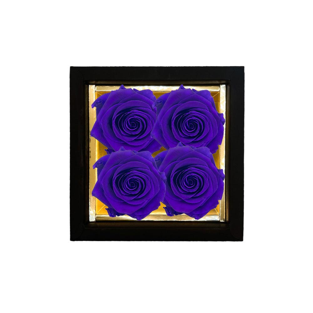 CYGNUS – 4 Eternal Roses in Box - Solid