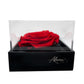 MAIA – XL Rose éternelle dans une boîte acrylique Deluxe